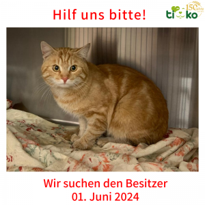 Fundtiere Dieter Fundtiere Dieter